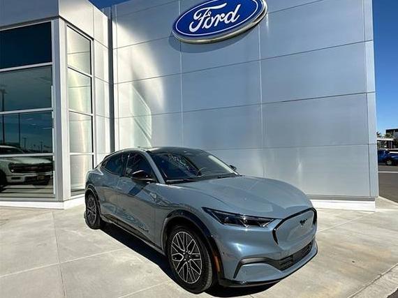 FORD MUSTANG MACH-E 2024 3FMTK3R79RMA25929 image